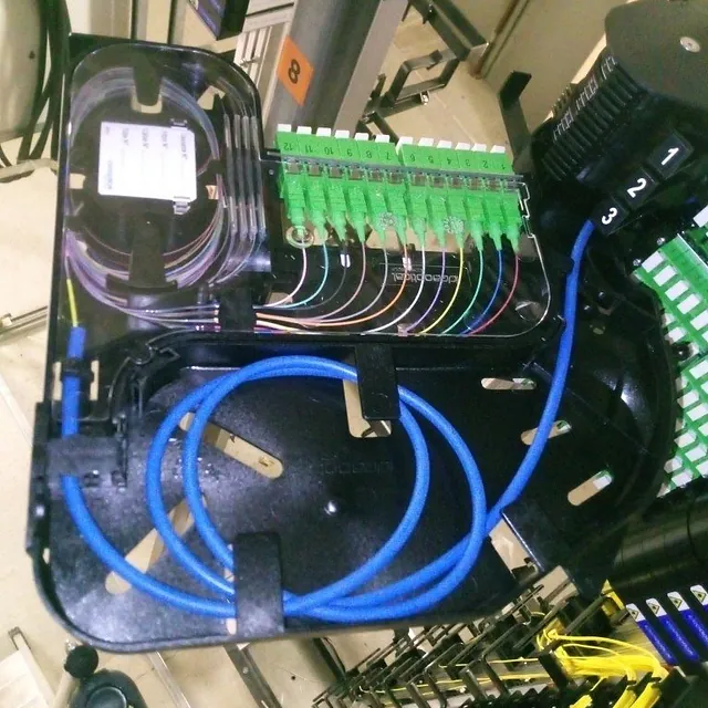 FDRT